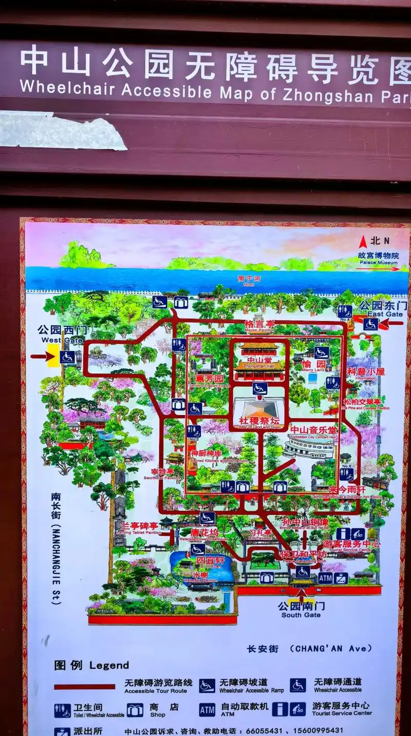 人间最美四月天#中山公园郁金香