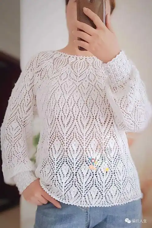 繁叶如花非常精致的女士钩针套头衫有编织图解