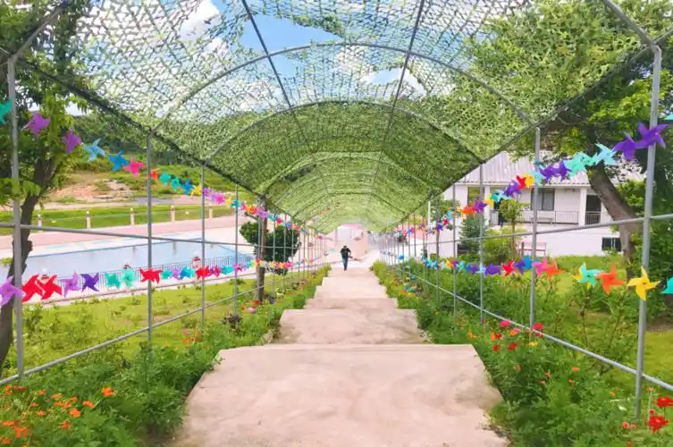 喜讯港口区大龙口生态山庄被评为四星级美丽乡村型体育综合体