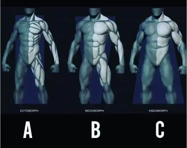 肌肉男的三种体型,你喜欢哪个? zt