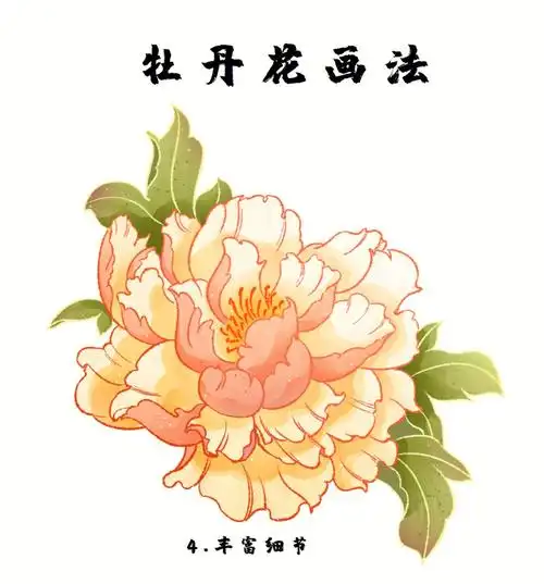 牡丹花画法