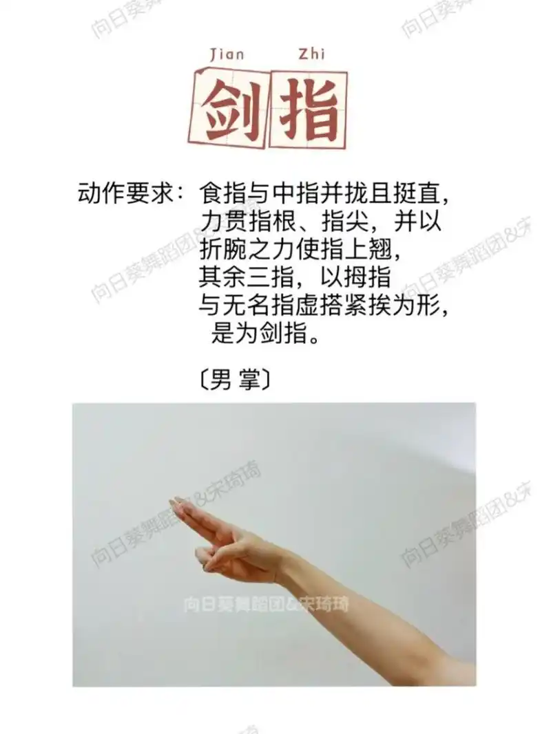 中国古典舞手型 男女手型之分 95中国古典舞 中国舞 0299手型