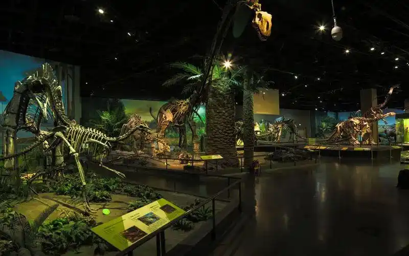 020|天津自然博物馆