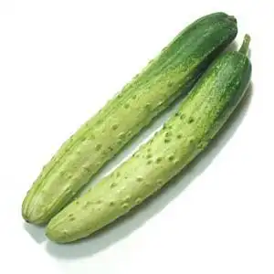 老黄瓜种的营养价值