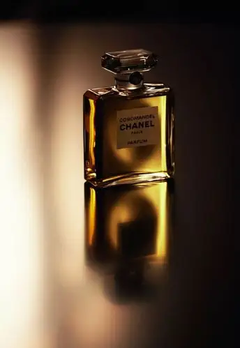 香奈儿chanel推出嘉柏丽尔东方屏风新香精