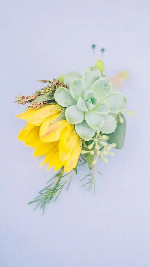 图片来源:高清无水印iphone萌壁纸