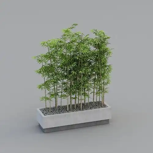 竹子3d模型