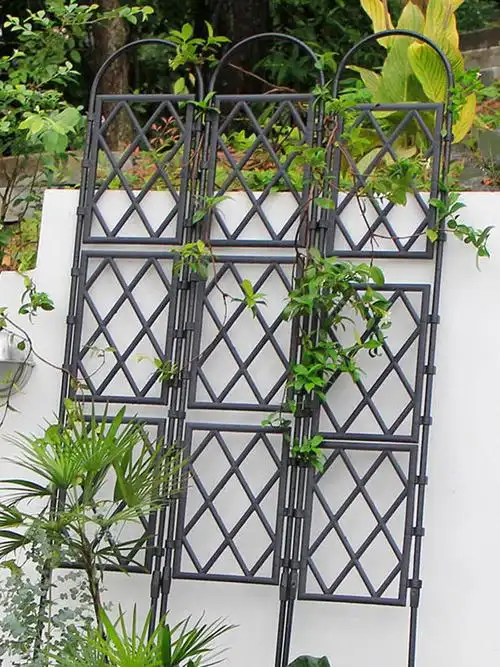 月季爬藤架山乌龟户外花园攀爬支架庭院植物室外葡萄架网格花架子