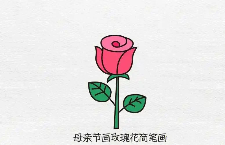 玫瑰花简笔画