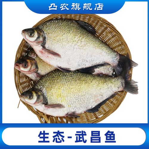 武昌鱼 新鲜