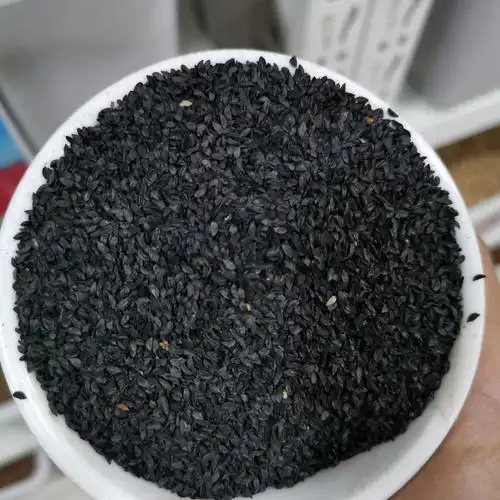 大花葱种子四季种植易种植花卉绿植花园花海花卉花草植物花籽草籽