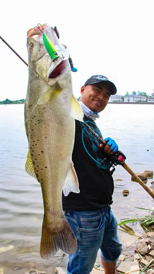 蓝旗鱼 新品波斩75f 85f远投低频波爬路亚饵远投水面鲈鱼翘嘴 #021