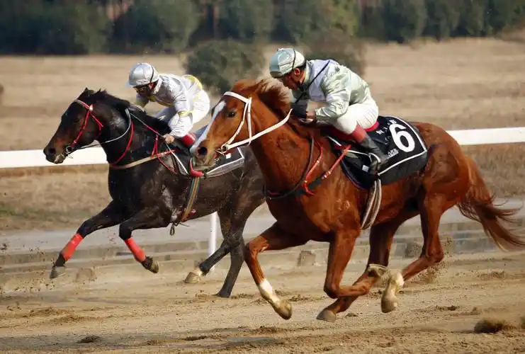 东方马城的体育赛马