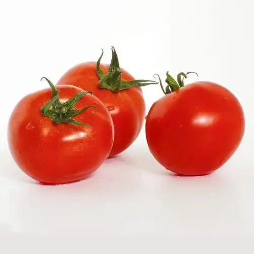 fresh tomatoes.jpg