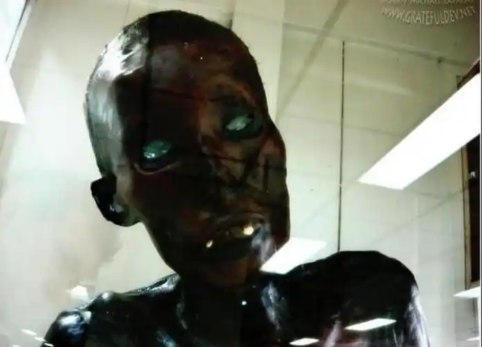 泰国细伟干尸图片真实事件翻转被冤枉并没吃人