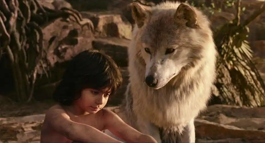 《奇幻森林》是一部探讨自己归属,关于"身份认同"的电影.