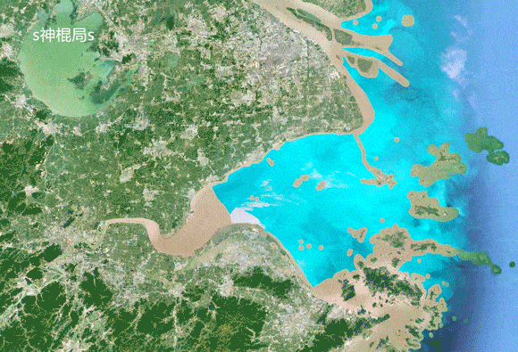 看准杭州湾新区靠谱吗现在还直得拼一拼吗