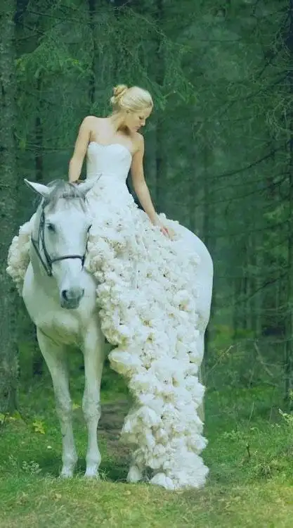 婚纱骑着白马的公主