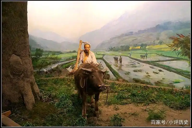 聊聊中国古代种菜那些事