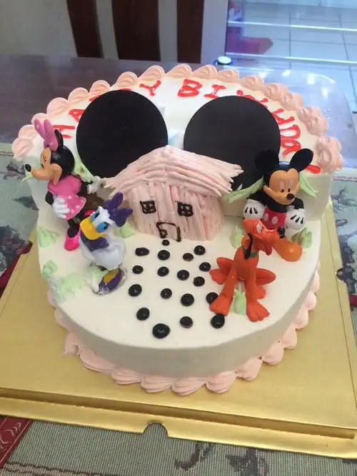 去选了一个米奇妙妙屋的蛋糕,很喜欢.