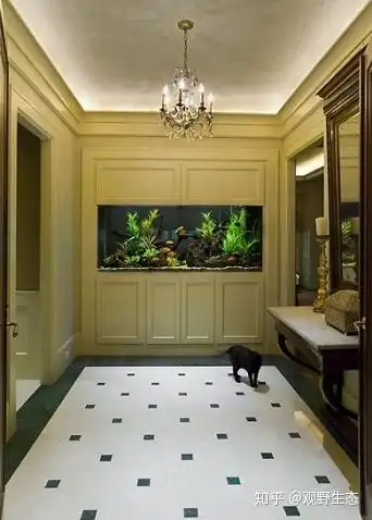 入户玄关鱼缸,客厅隔断鱼缸,嵌入式鱼缸,不同场景有哪些风格鱼缸款式