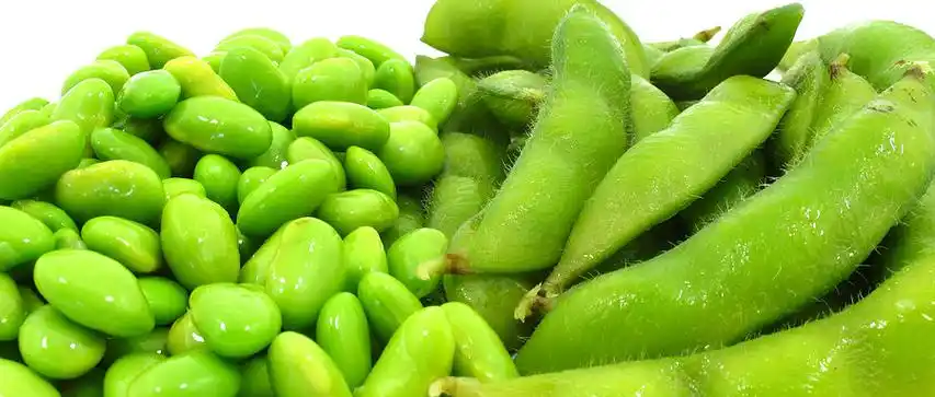 这些高碳蔬菜其实和米饭差不多有些人越吃越胖