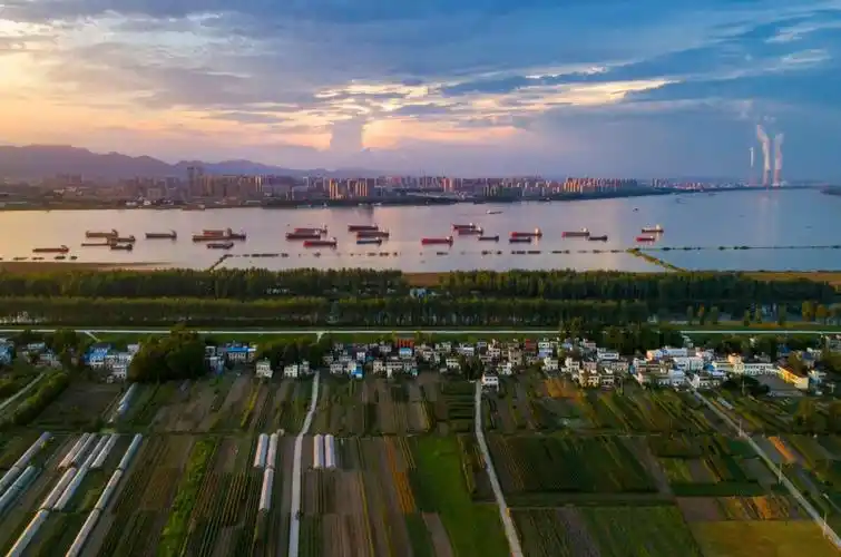 大渡口镇:树立全域发展理念 撰写高质量发展新答卷|中安在线池州频道