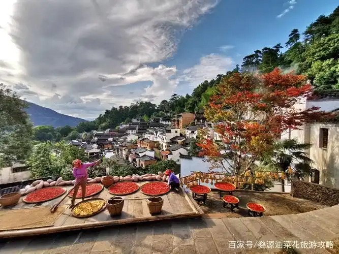 第七届中国婺源篁岭晒秋文化节正式开晒