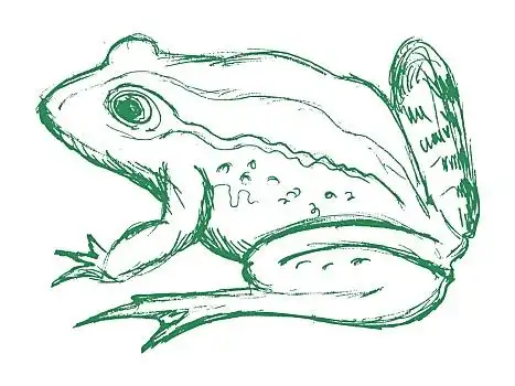 蟾蜍,素描,插画