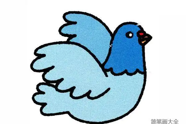 小鸽子真的很可爱哦!