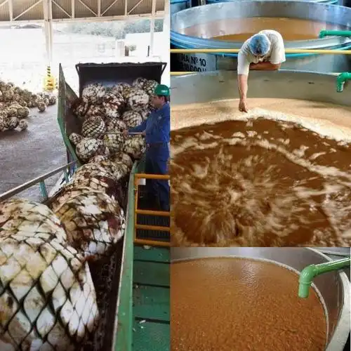 龙舌兰酒丨龙舌兰酒之制作过程