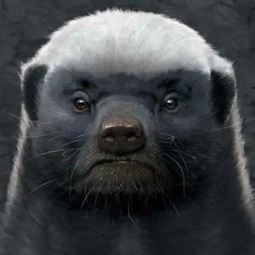 炸天帮平头哥n头像