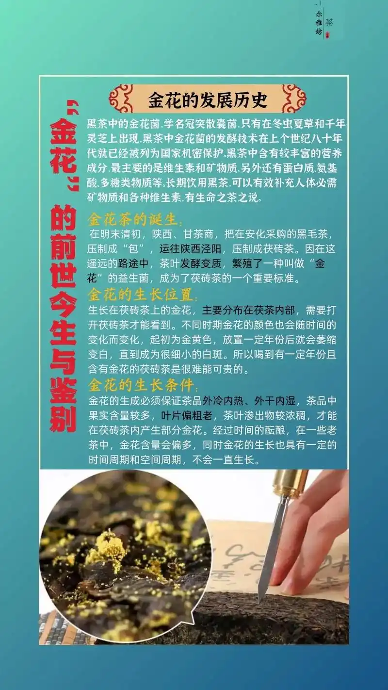 只有安化黑茶有金花吗?带有金花的茶才是好茶 - 抖音