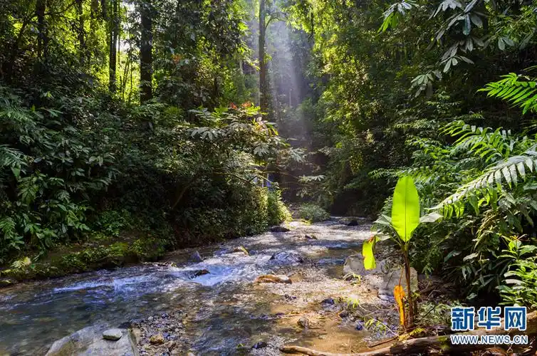 有一种叫云南的生活是一种生态绿色的生活