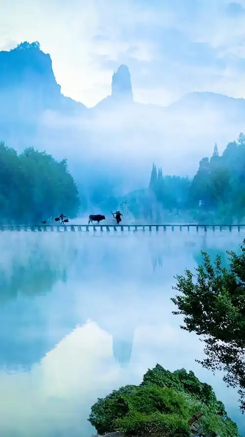 回归平静的生活!