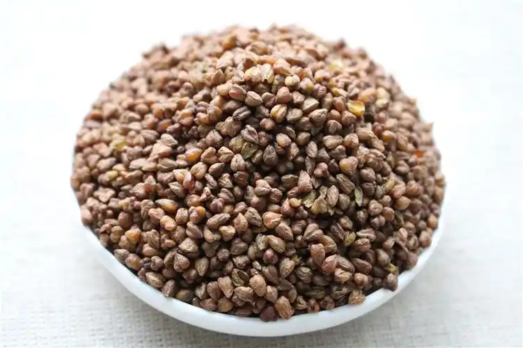 黑苦荞茶 苦荞米散装 奶茶饮品食品出口级 烘焙黑荞麦茶 原料供应