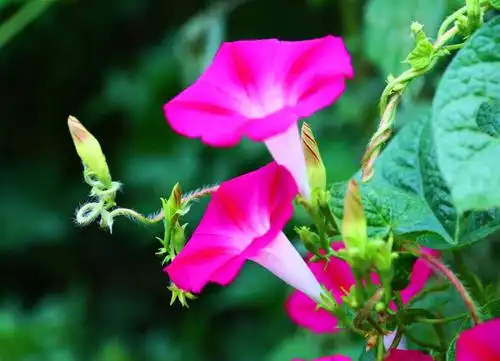 原图欣赏-太平洋摄影部落