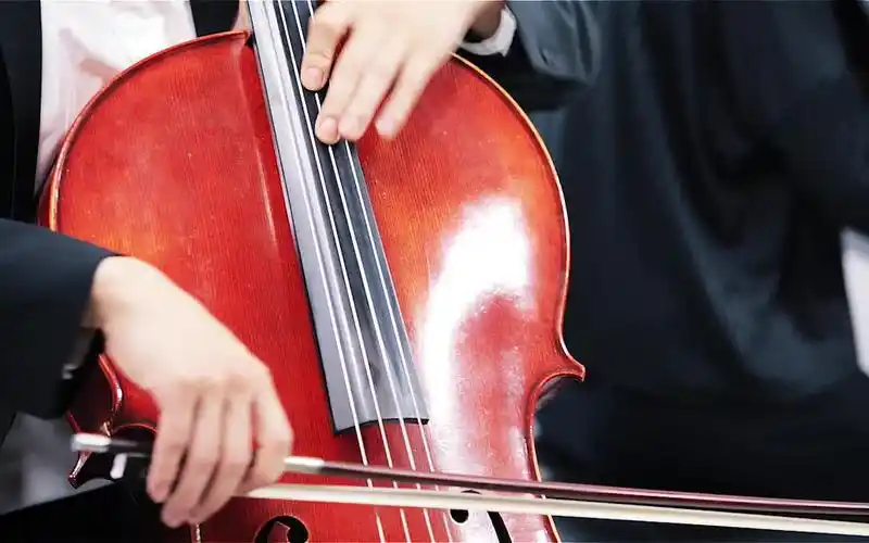 音乐教学课程之-大提琴