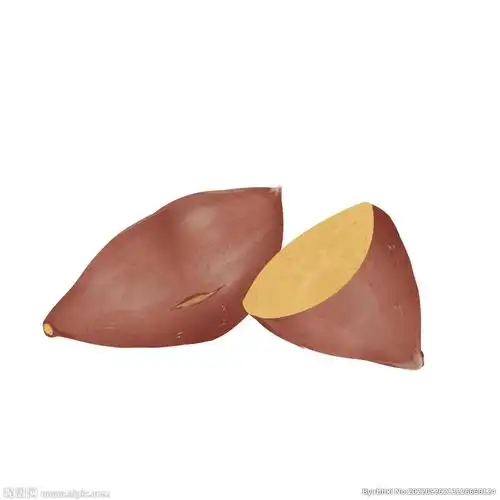 psd(cs5)颜色:rgb40共享分举报收藏立即下载关 键 词:红薯 番薯 地瓜