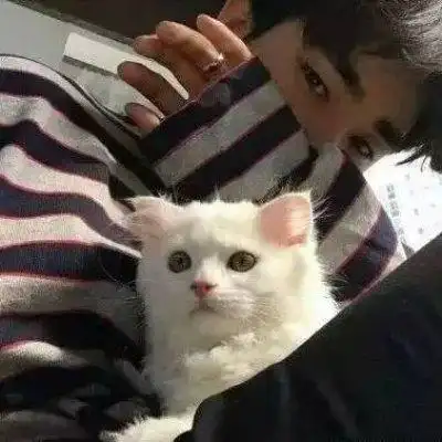 宠物暖男头像 最新带宠物的男生头像 - 男生头像 - 潮人个性网