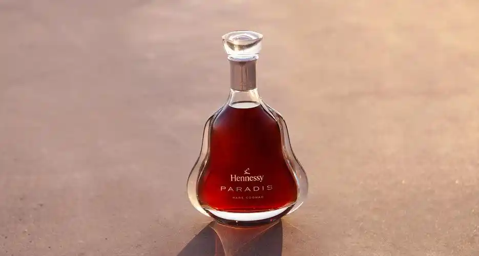 hennessy paradis