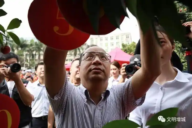 今天我们把增城挂绿献给您