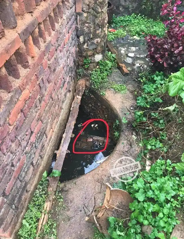 悲痛!7岁男孩掉粪池身亡,父亲含泪写"告大家书"