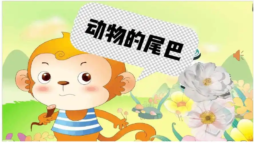 幼儿园中班科学活动动物的尾巴课件.ppt_第1页