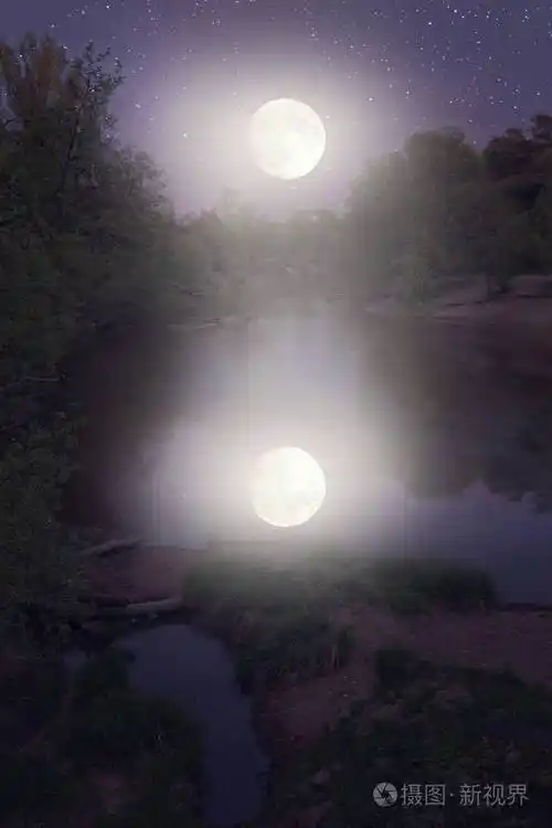 月亮在池塘里的倒影