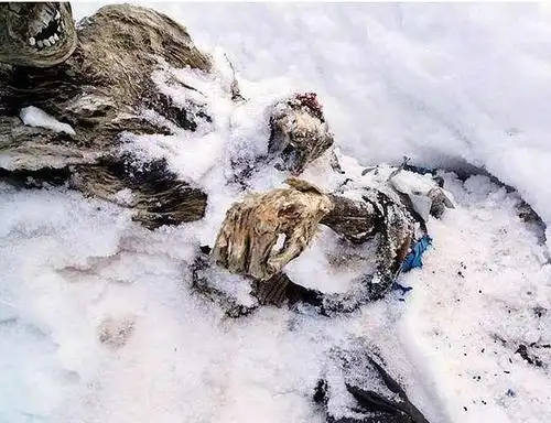 55年.这让我想到喜马拉雅山.