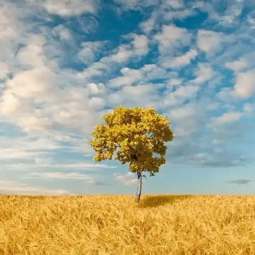 励志头像图片大全186张 高清好看的正能量励志头像拼搏图片_励志头像