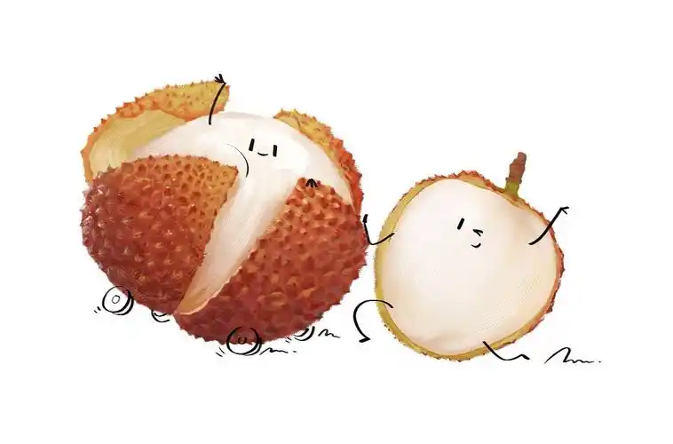 插画练习 写实插画 食物插画 美食 创意 荔枝 蛋糕 寿