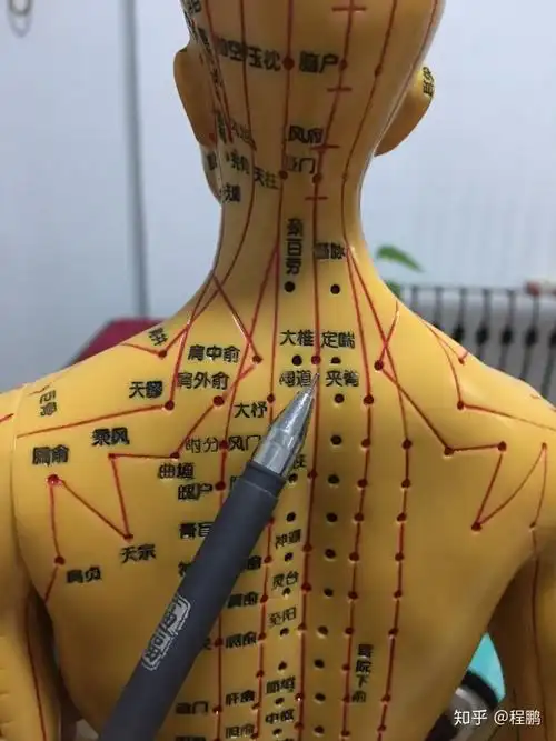 颈部的保暖就会让风寒入侵颈椎,从而影响局部的血液循环,当颈椎的经络