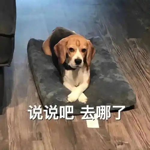 情侣日常聊天表情包